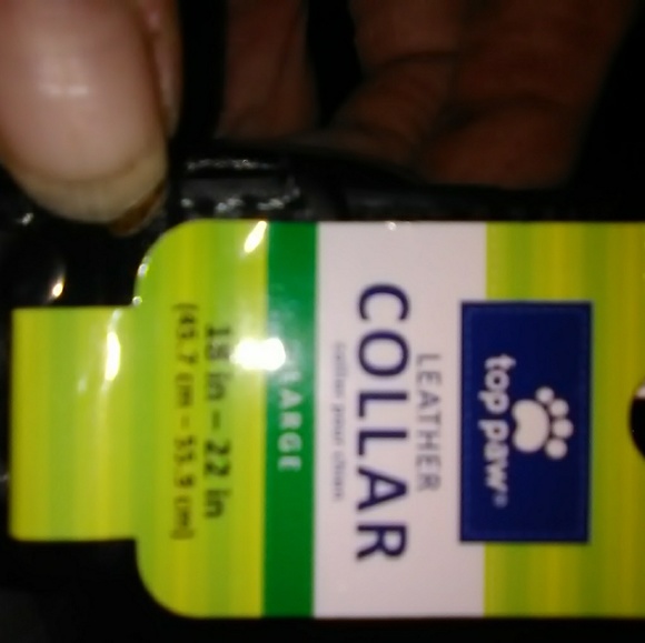 Leather collars - Picture 4 of 4